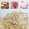 Dried Babys Breath Bulk Natural Dried Gypsophila Flowers White Babys Breath Stems for Home Decor, Weddings, Crafts